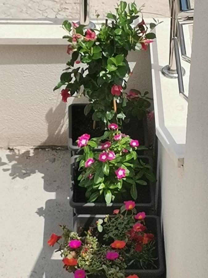 Apartment Lijana Sea View Tučepi Εξωτερικό φωτογραφία